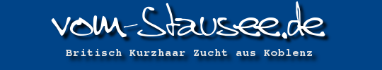 vom-stausee.de